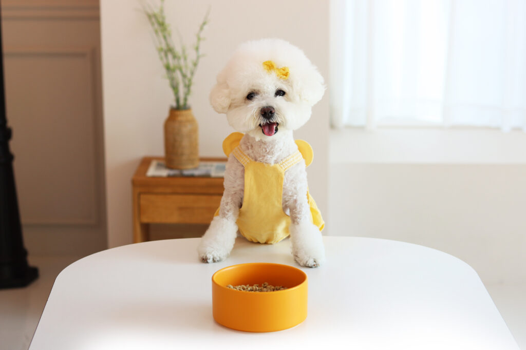 서브배너-3sec-1